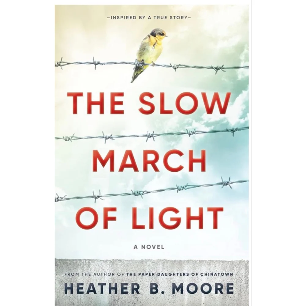 Shadow Mountain The Slow March of Light Book One Size Hardcover Book